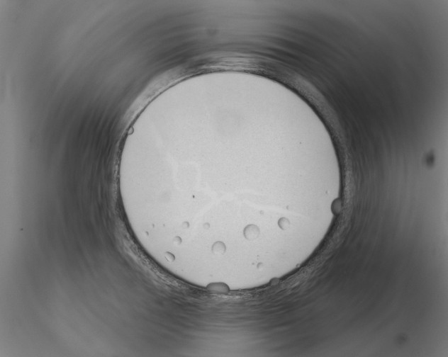 X0000115251378200912111107