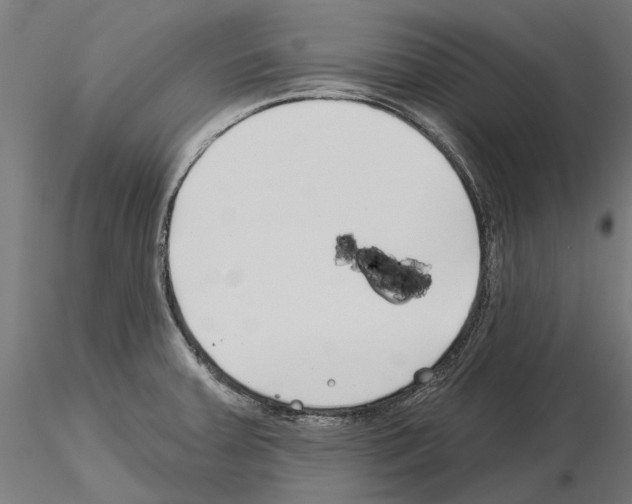 X0000115251379200912111107