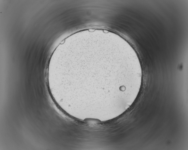 X0000115251383200912111107