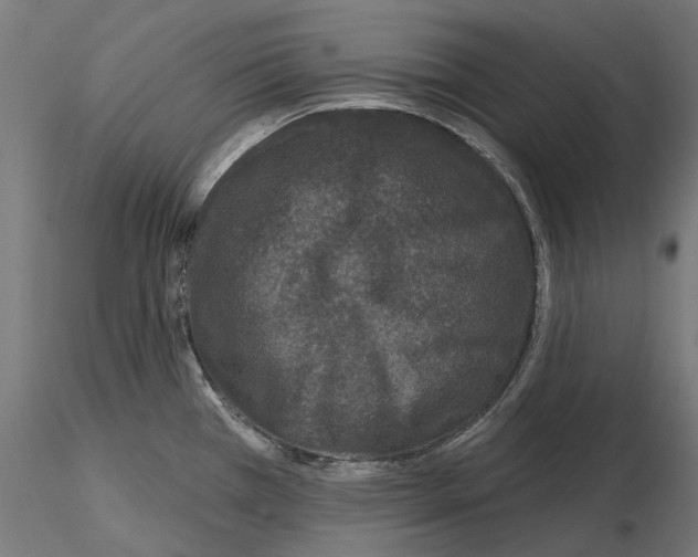 X0000115251385200912111107