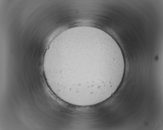 X0000115251386200912111107