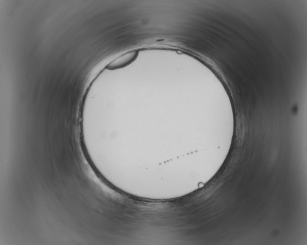 X0000115251387200912111107