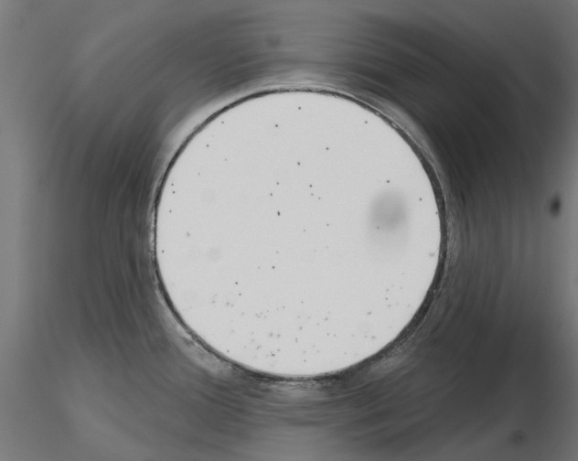 X0000115251388200912111107