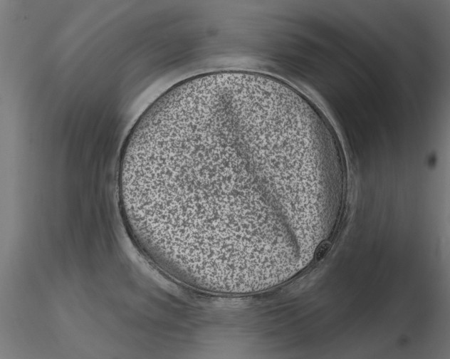 X0000115251389200912111107