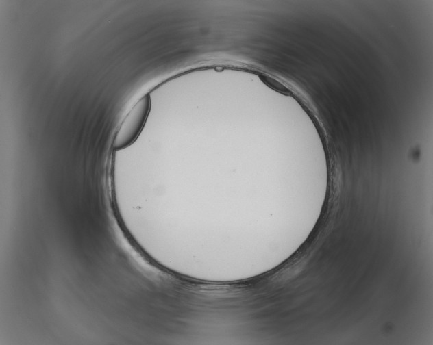 X0000115251391200912111107