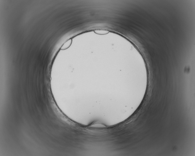 X0000115251392200912111107