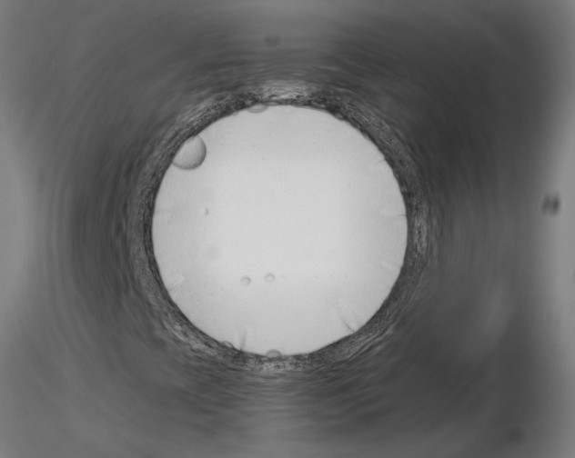 X0000115251393200912111106