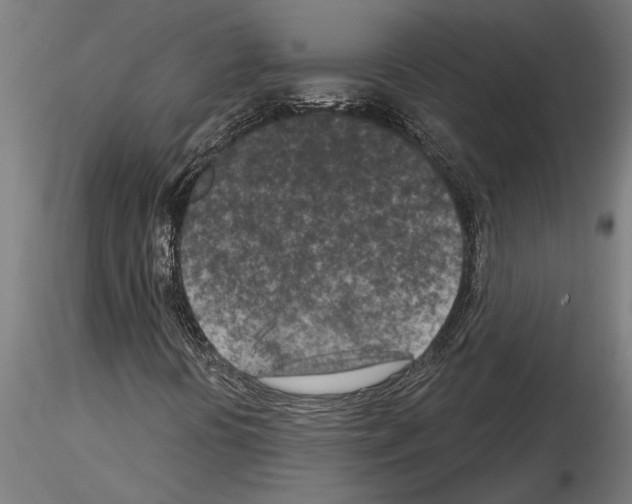 X0000115251394200912111106