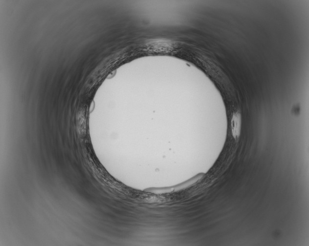 X0000115251395200912111106