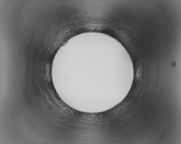 X0000115251396200912111106