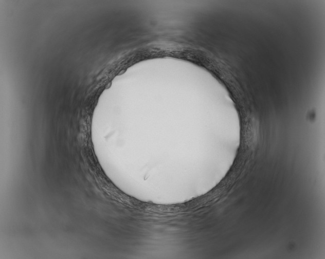 X0000115251397200912111106