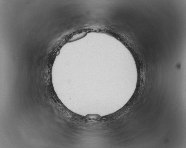 X0000115251398200912111106