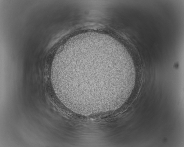 X0000115251399200912111106