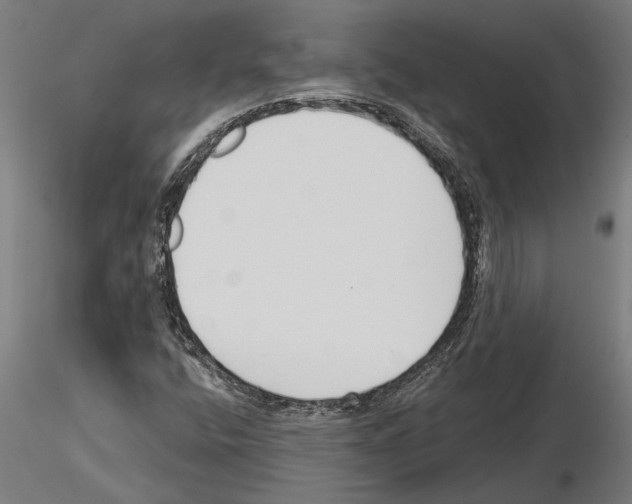 X0000115251400200912111106