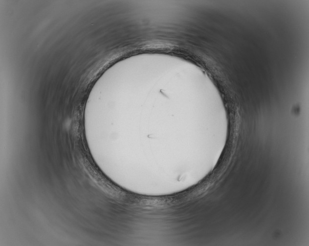 X0000115251401200912111106