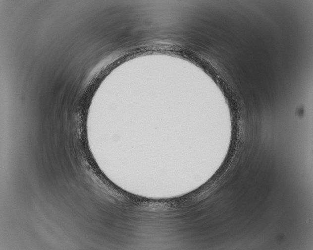 X0000115251402200912111106