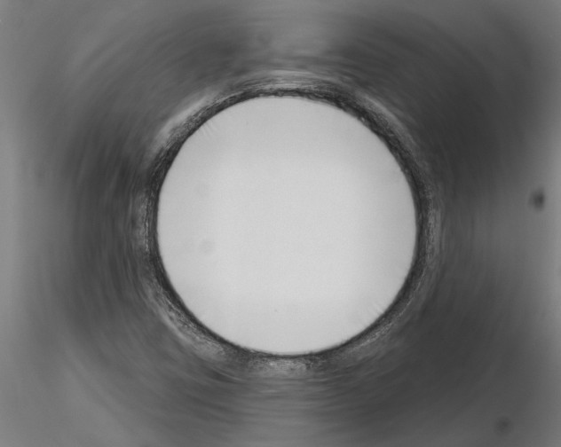 X0000115251403200912111106