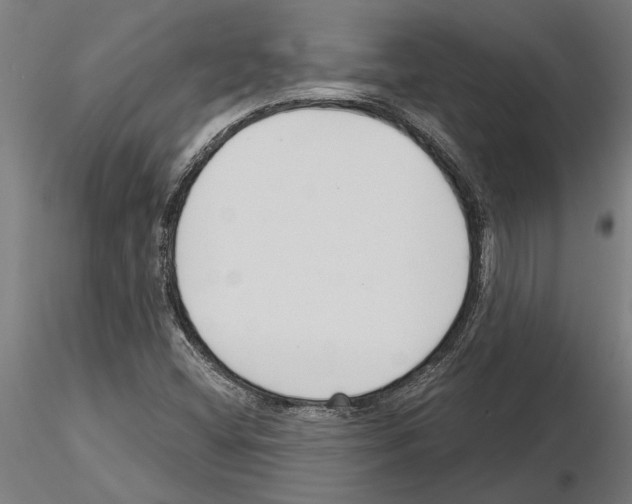 X0000115251404200912111106