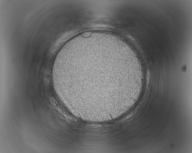 X0000115251405200912111106