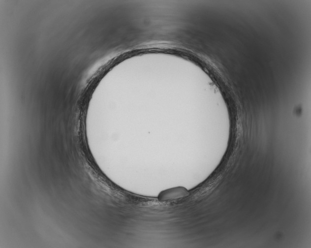 X0000115251406200912111106