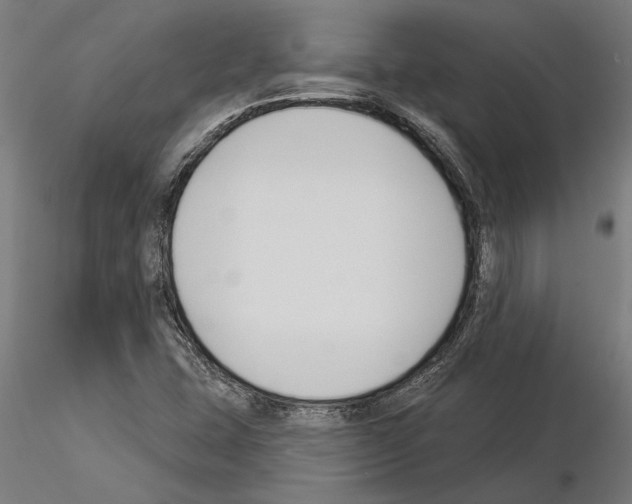 X0000115251407200912111106