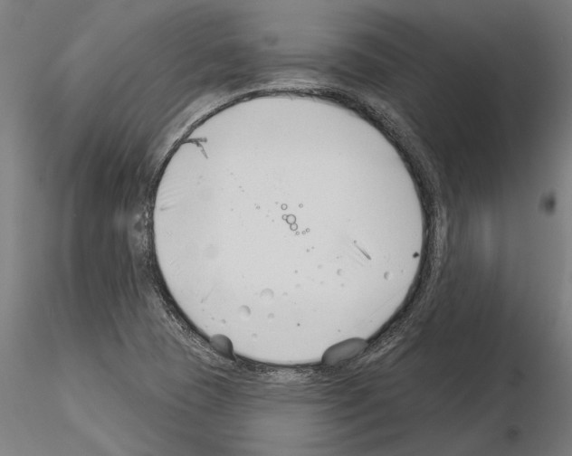 X0000115251409200912111106