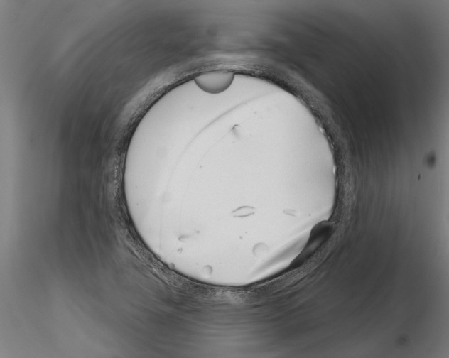 X0000115251411200912111106