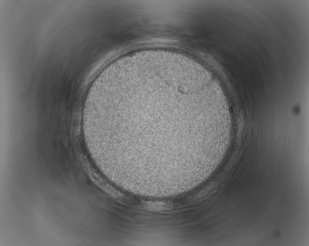 X0000115251413200912111106