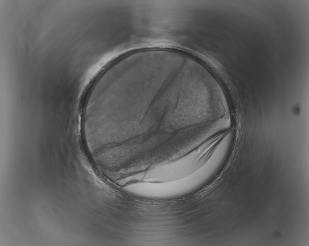 X0000115251414200912111106