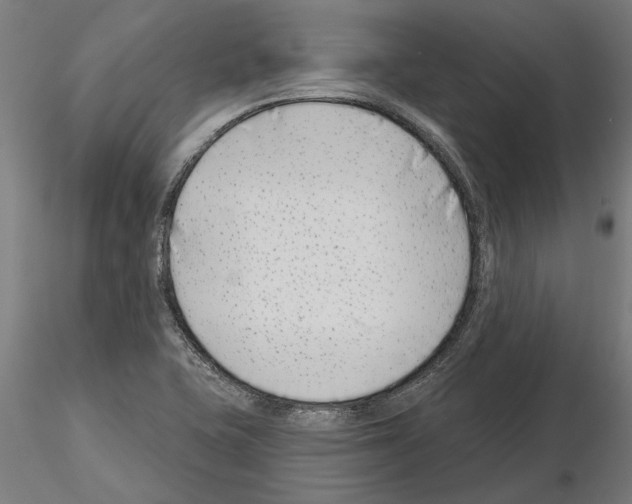 X0000115251415200912111106