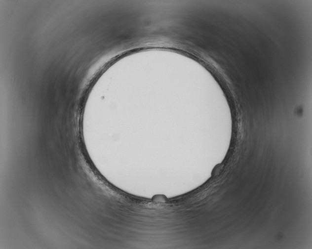 X0000115251416200912111106