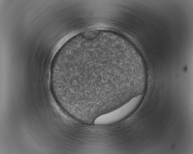 X0000115251418200912111106