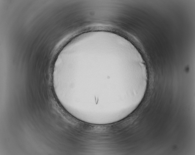 X0000115251419200912111106