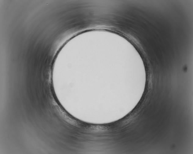 X0000115251420200912111106