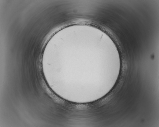 X0000115251421200912111106