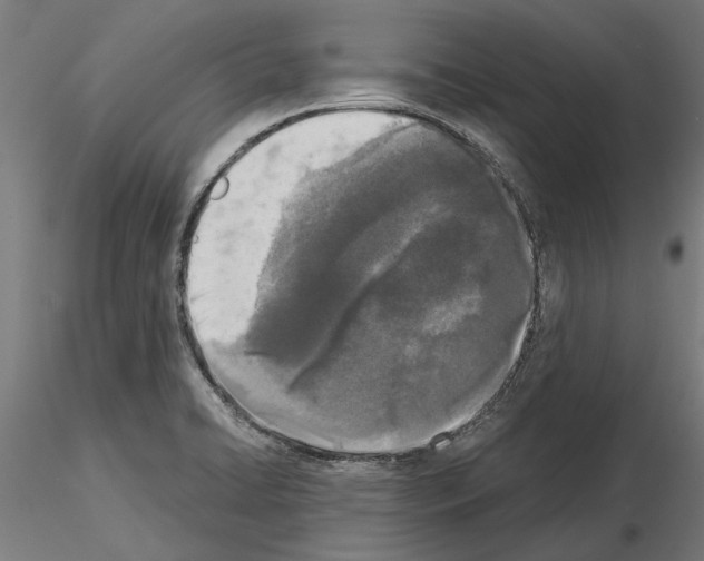 X0000115251422200912111106