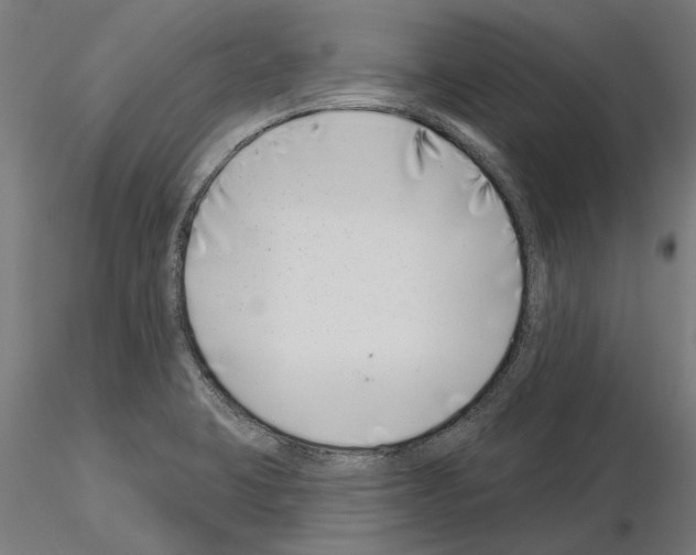 X0000115251423200912111107