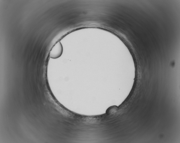 X0000115251424200912111107