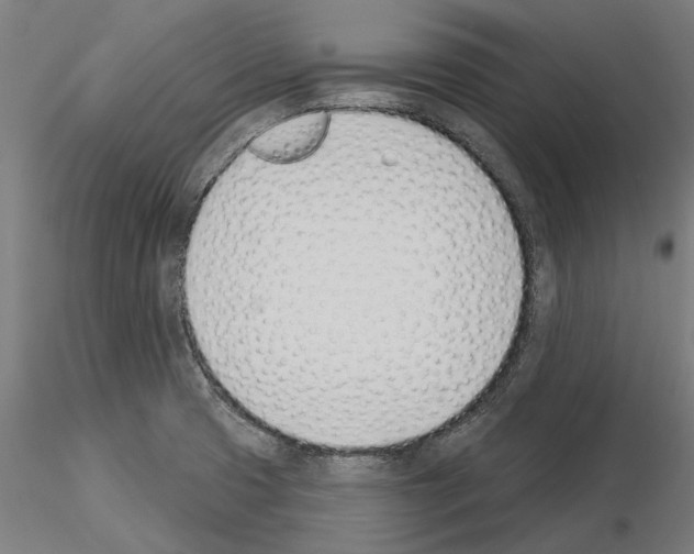 X0000115251425200912111107