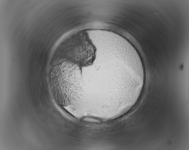 X0000115251429200912111107