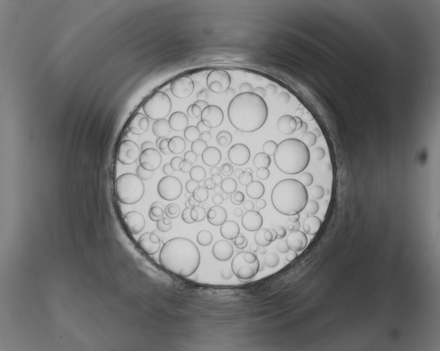 X0000115251432200912111107