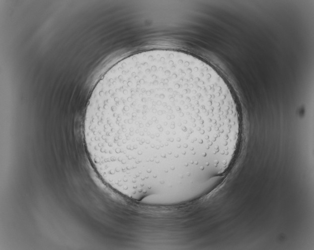 X0000115251433200912111107