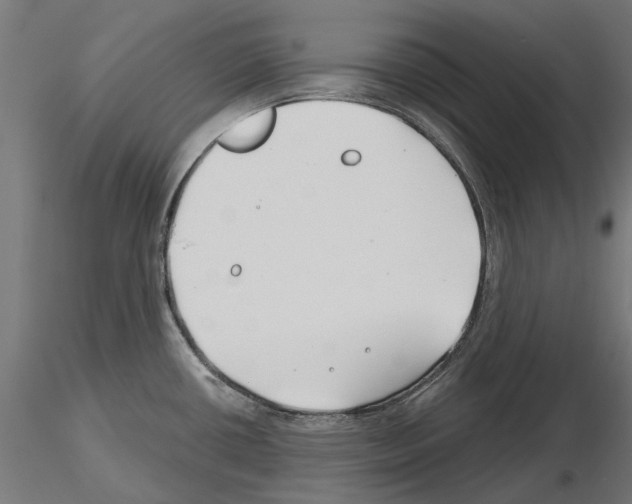 X0000115251434200912111107