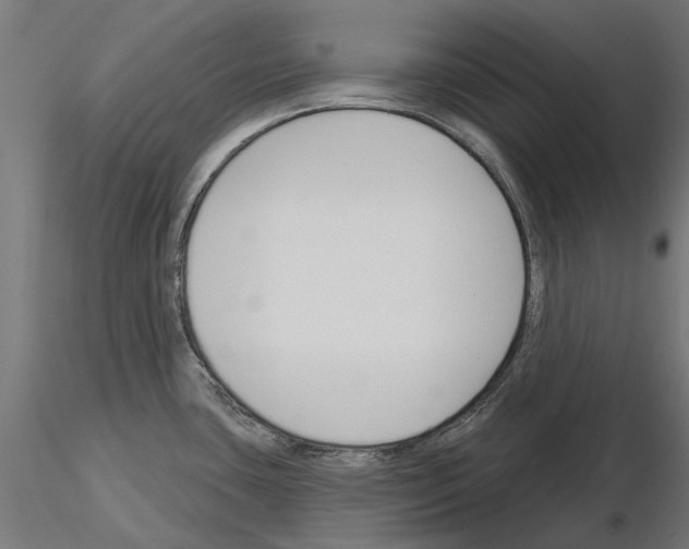 X0000115251435200912111107