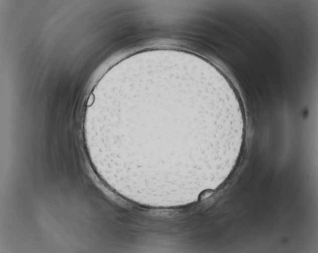 X0000115251437200912111107