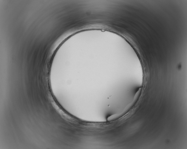 X0000115251438200912111107