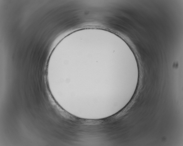 X0000115251440200912111107