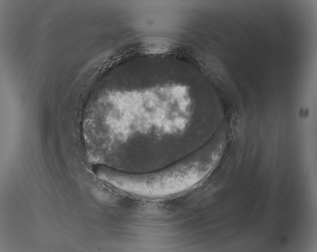 X0000115251441200912111106