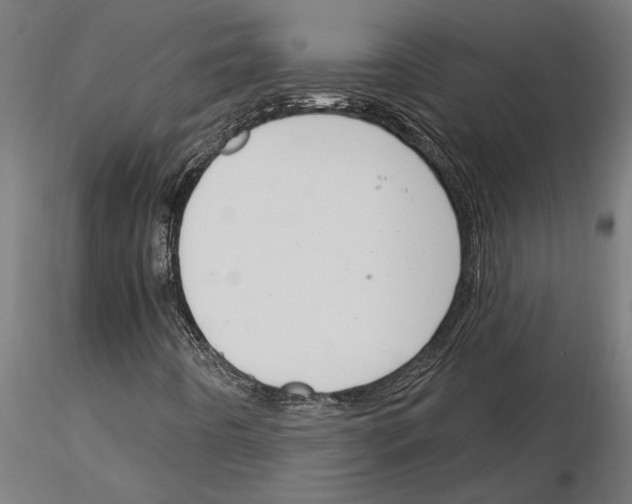 X0000115251442200912111106