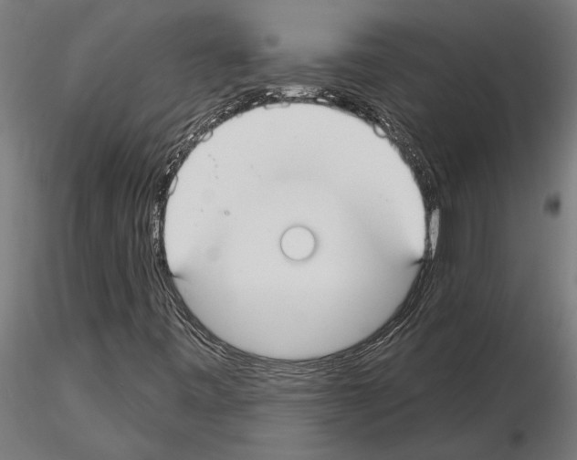 X0000115251443200912111106